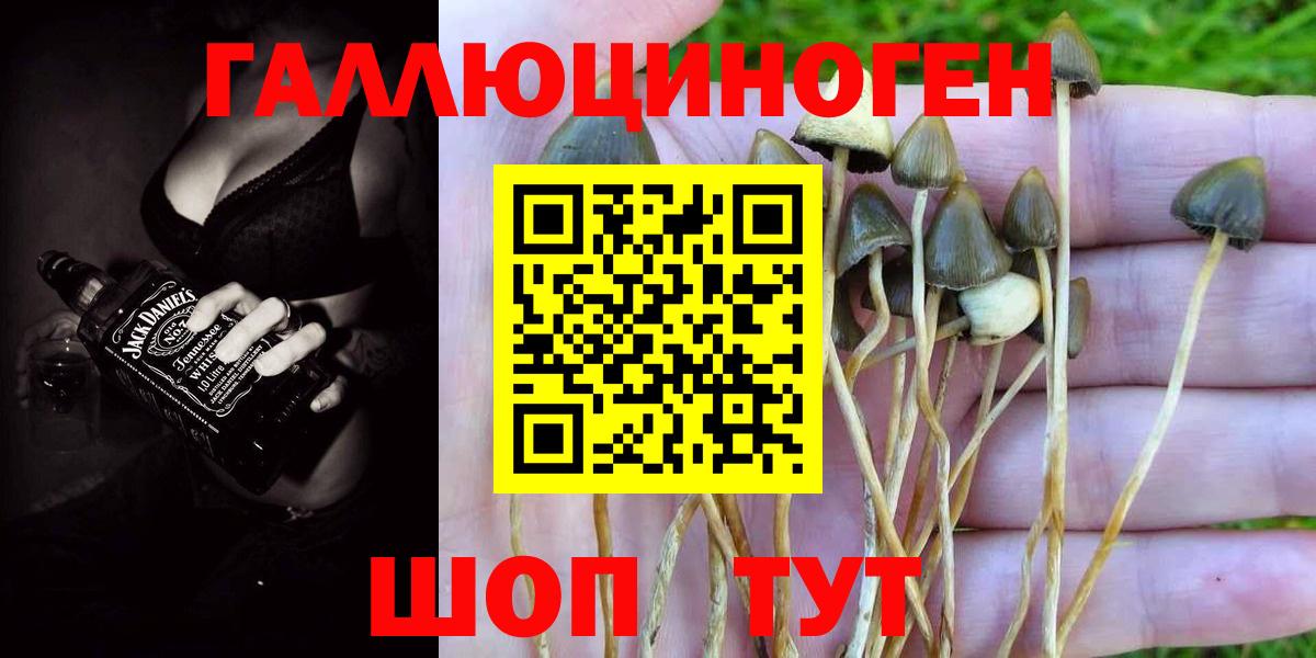 Псилоцибиновые грибы мицелий Когалым