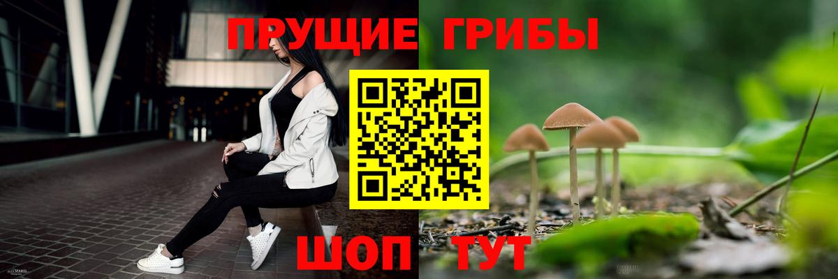 Когалым  Галлюциногенные грибы MAGIC MUSHROOMS  Вход с VPN 